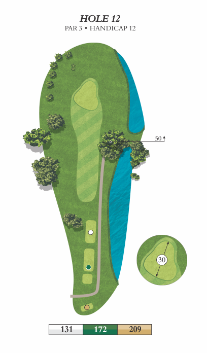 Hole 12 animated overview image featuring yardages of 131, 172, and 209.