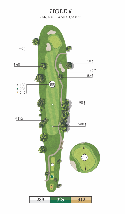 Hole 6 animated overview image featuring yardages of 289, 325, and 342.