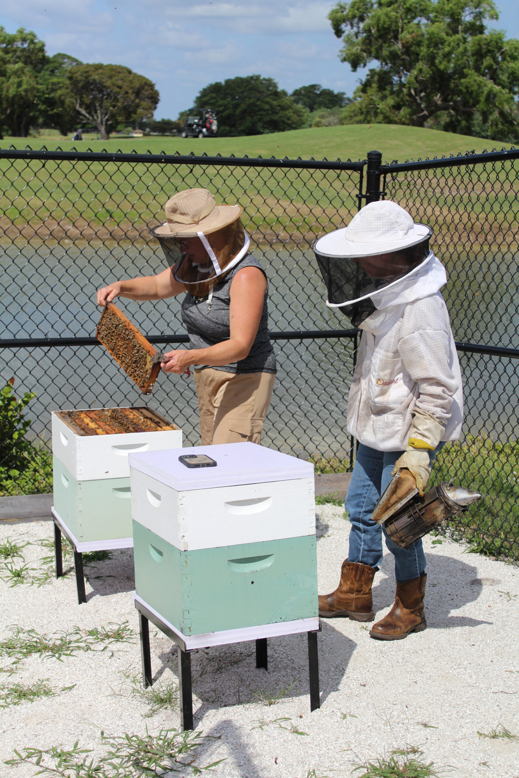 Beekeepers working up close with the Southwinds bees.