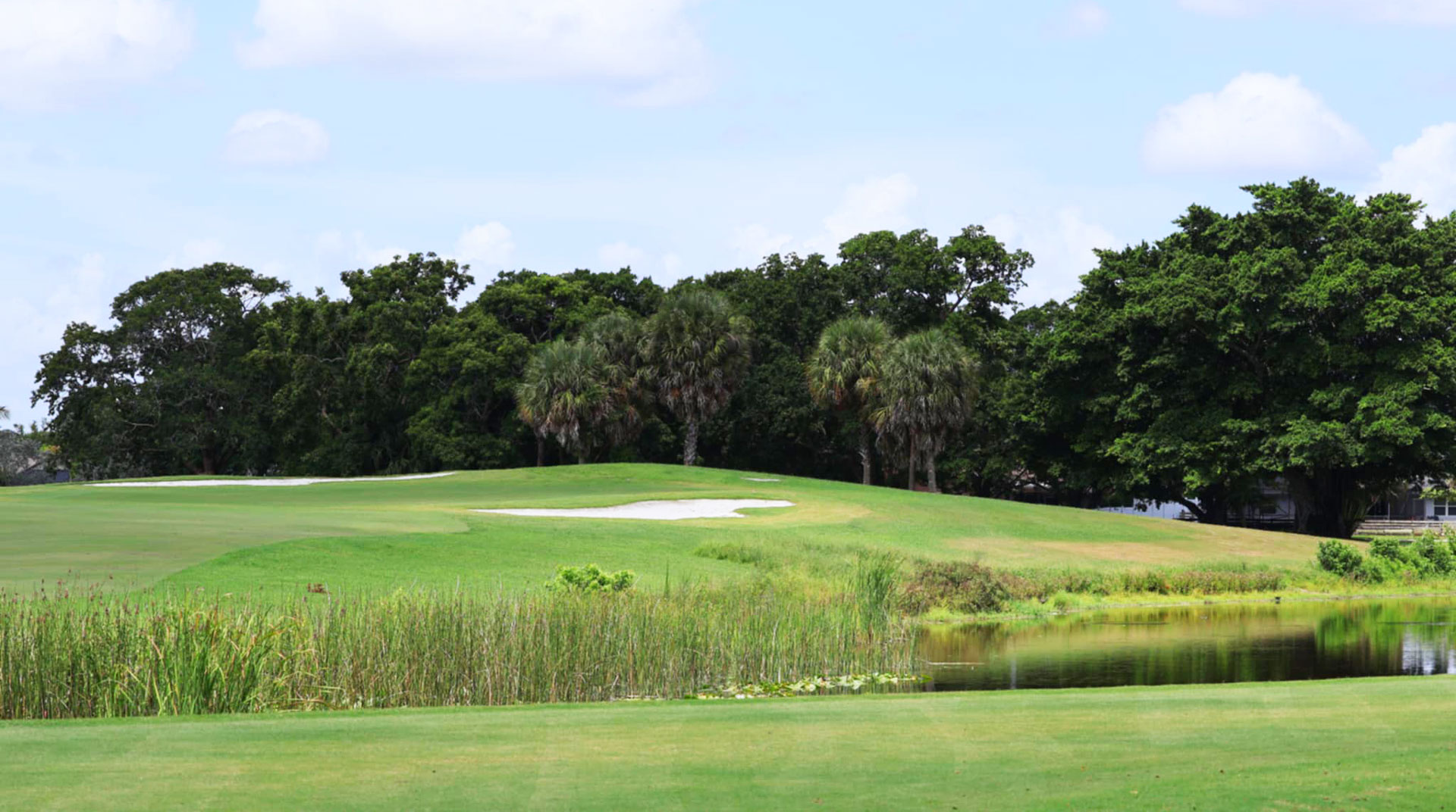 View of an elevated green with fairway in the foreground separated by a stretch of water.